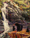 Black bear and Waterfall